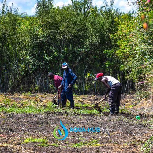 Farmers in Kenya