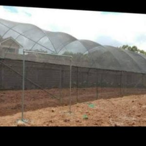 10 Steps for Shade Net Installation (For Nurseries)