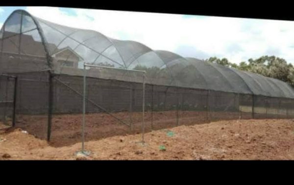 10 Steps for Shade Net Installation (For Nurseries)