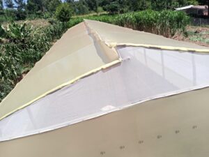 Insect Nets in Kenya