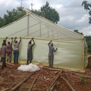 Wooden greenhouse in Kenya