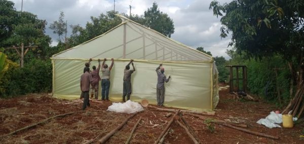 Wooden greenhouse in Kenya