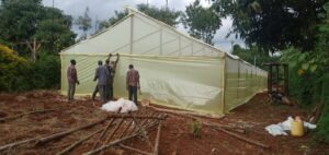 Wooden greenhouse in Kenya