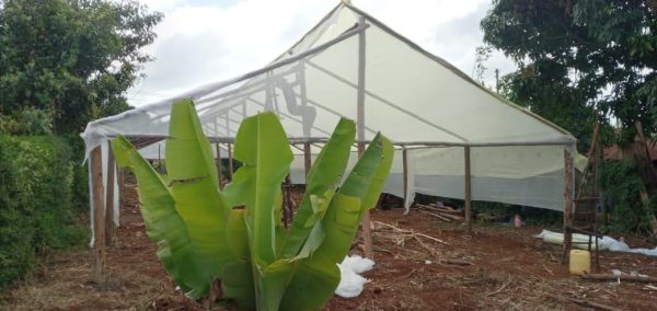 Wooden greenhouse in Kenya by Aqua Hub Kenya