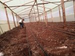 Wooden greenhouse in Kenya