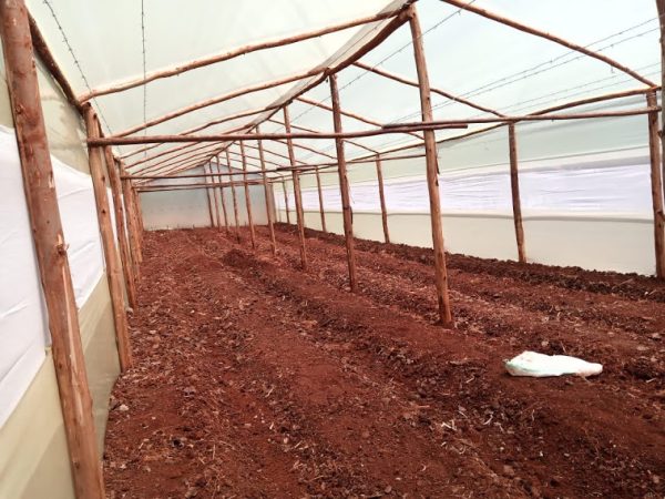 Wooden greenhouse in Kenya