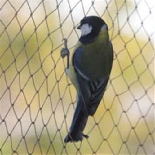 https://www.aquahubkenya.co.ke/wp-content/uploads/2021/04/anti-bird-nets-500x500-1.jpg