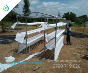 Solar Dryer in Kenya