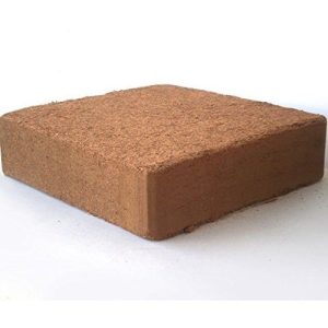 Coco Peat Prices
