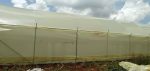 Metallic Greenhouse is by Aqua Hub