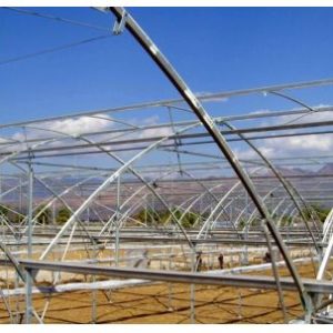 Steel Greenhouses in Kenya