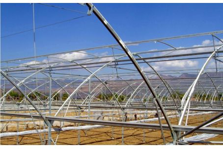 Steel Greenhouses in Kenya