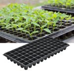 Seedling Trays