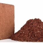 Coco Peat Prices