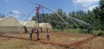 Steel Greenhouses