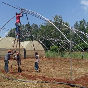 Steel Greenhouses