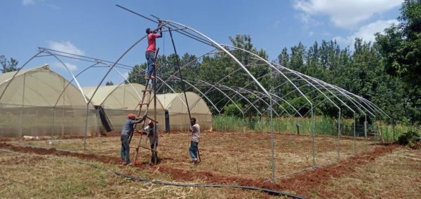 Steel Greenhouses