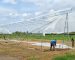 Steel Greenhouses