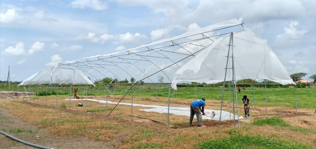 Steel Greenhouses