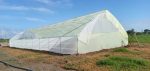 Greenhouse Polythene