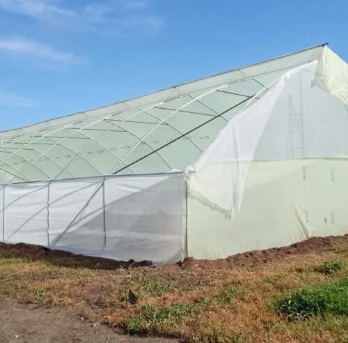 Greenhouse Polythene