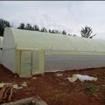 Greenhouses by Aqua Hub Kenya