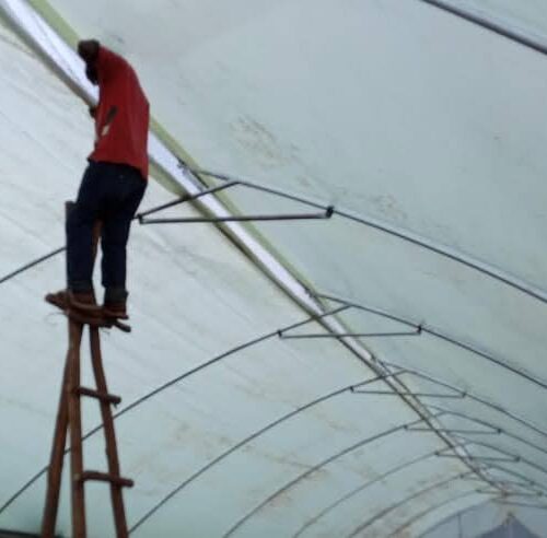 Steel Nurseries by Aqua Hub Kenya