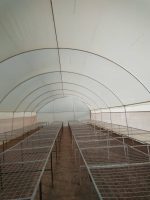 Steel Nurseries by Aqua Hub Kenya