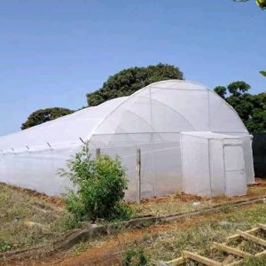 Steel Greenhouses