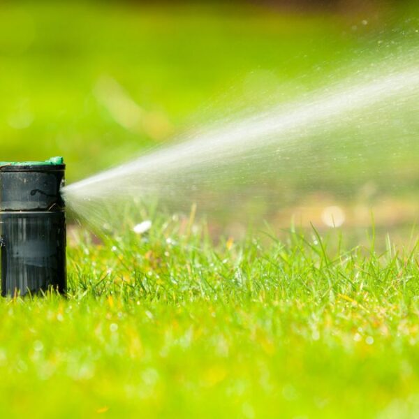 Rain Gun Sprinklers in Kenya Aqua Hub Kenya Irrigating with Every Drop