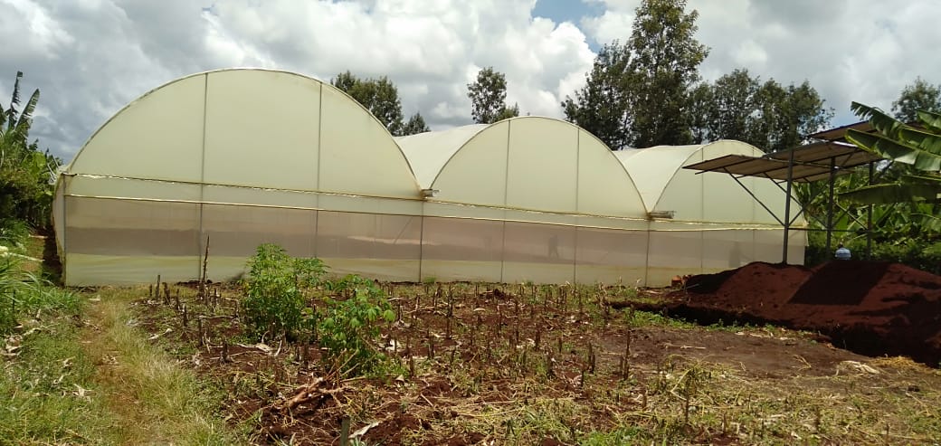 Greenhouses by Aqua Hub Kenya