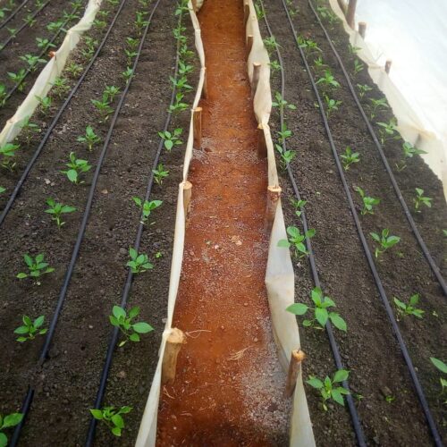 Drip Kit Troughs by Aquahub