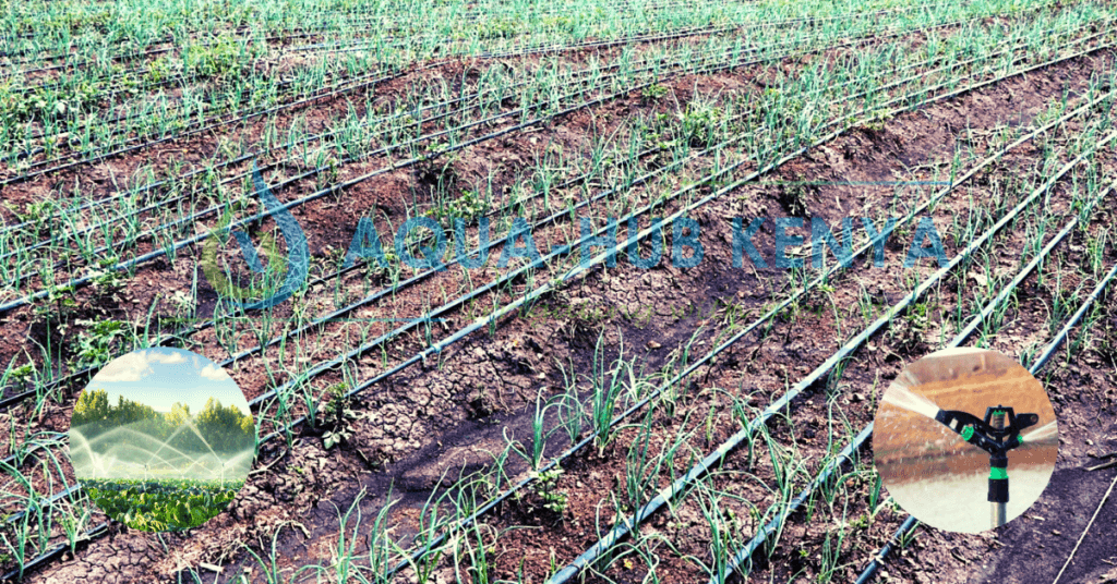 Irrigation in Kenya