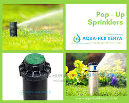 Pop Up Sprinklers in Kenya 