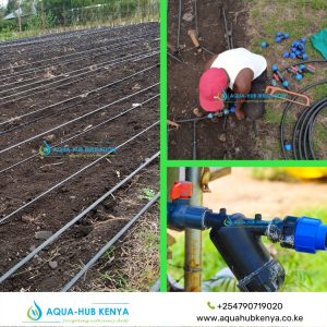 Drip Irrigation System