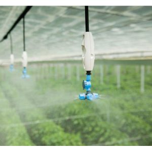 Misters and fogs in Kenya