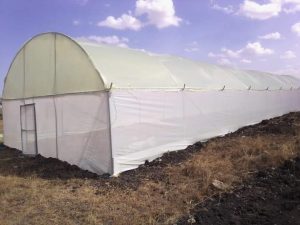 Wooden and Steel Greenhouses