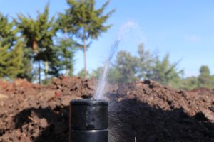 Lawn Sprinklers