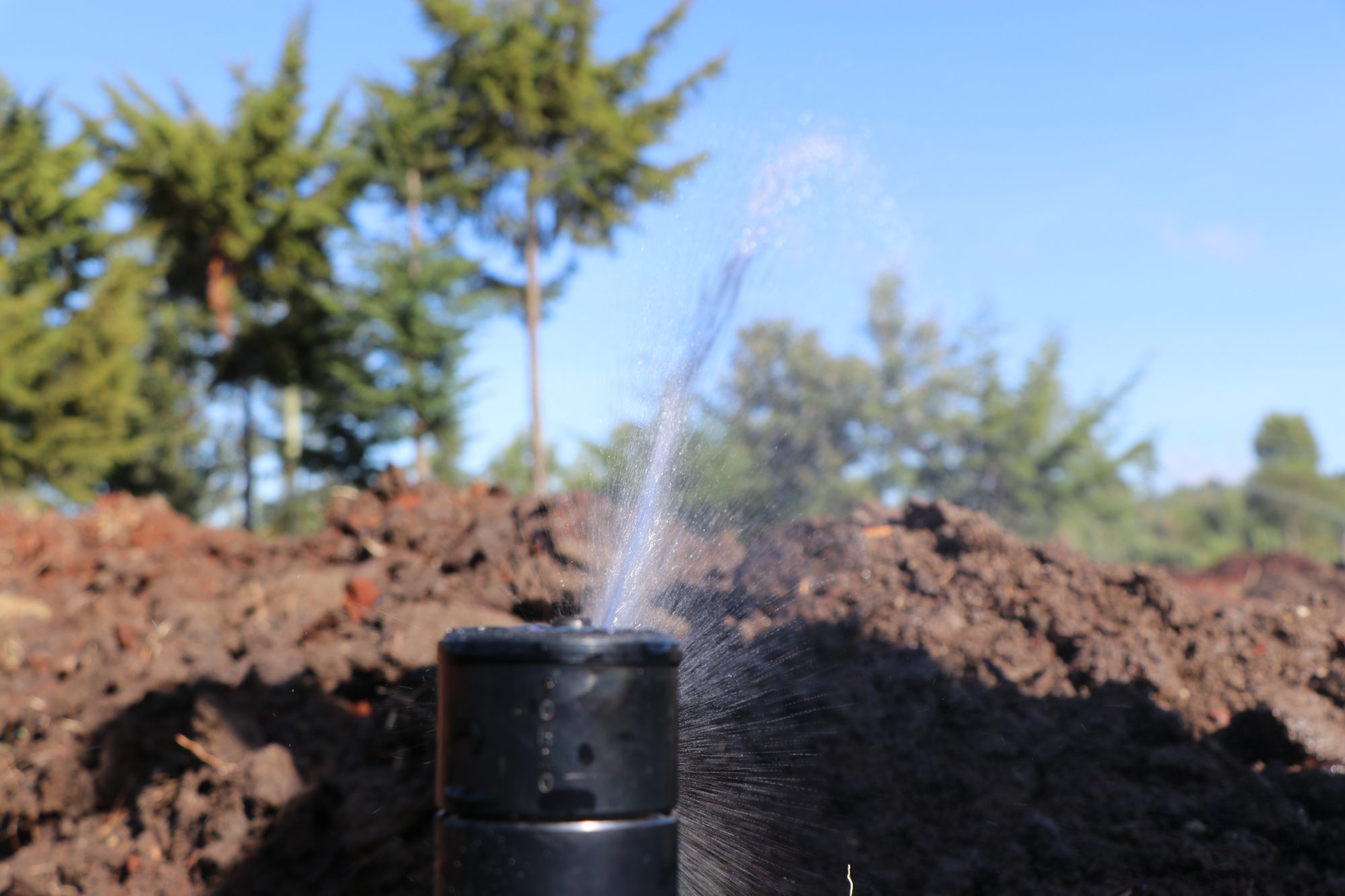 Lawn Sprinklers