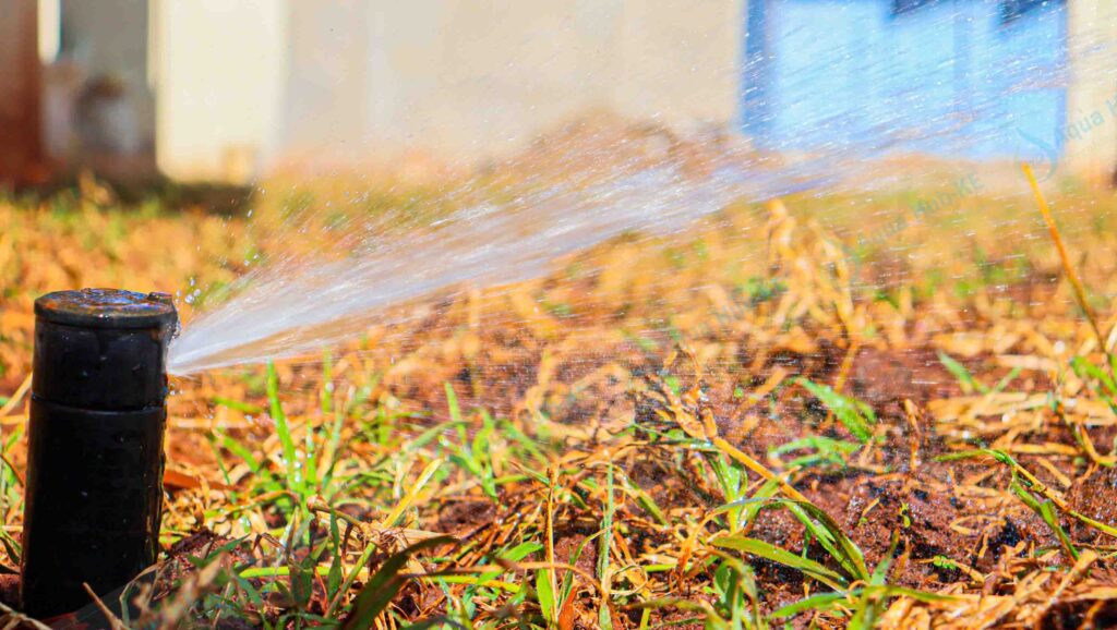 Lawn Irrigation Suppliers in Kenya