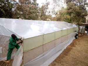 Wooden and Steel Greenhouses