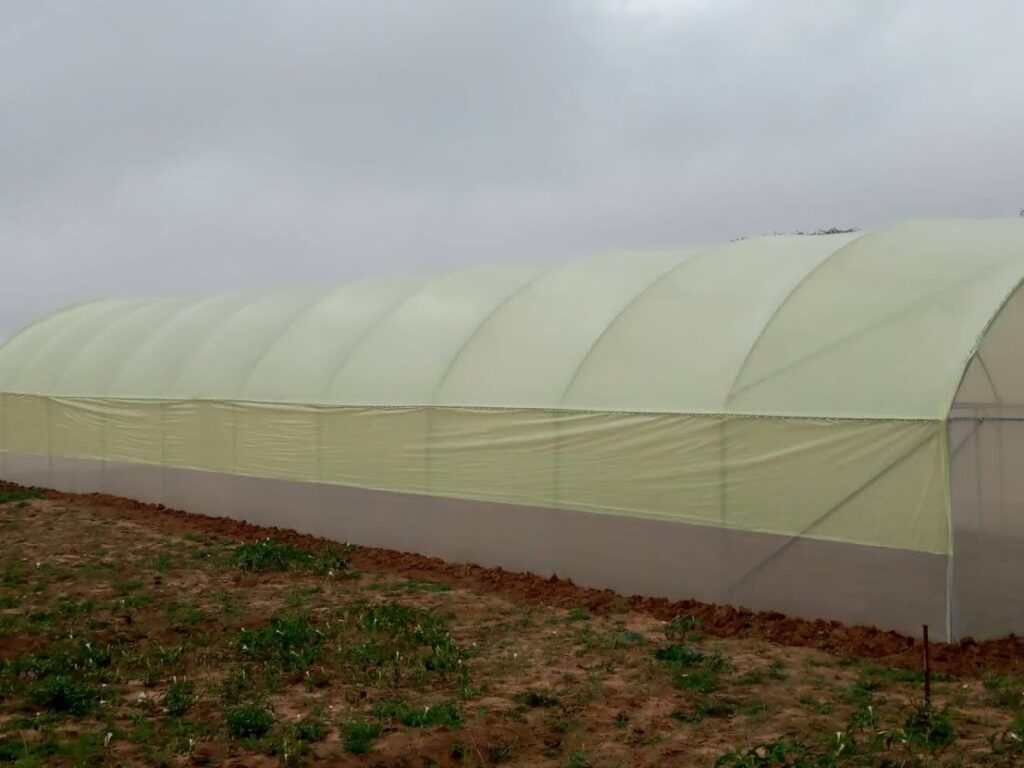 Greenhouse Prices in Kenya