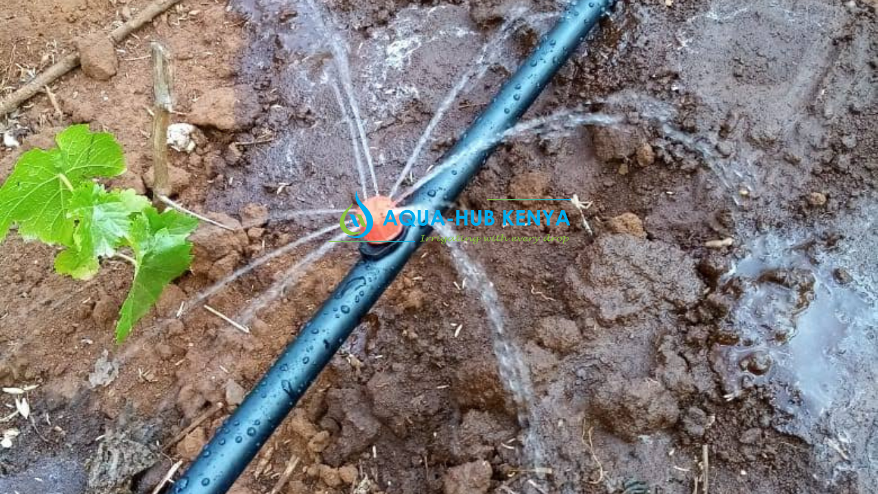 Button Dripper Irrigation in Kenya