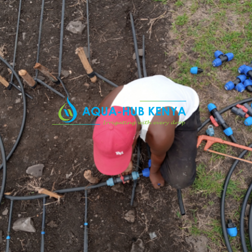 Irrigation technicians in Kenya