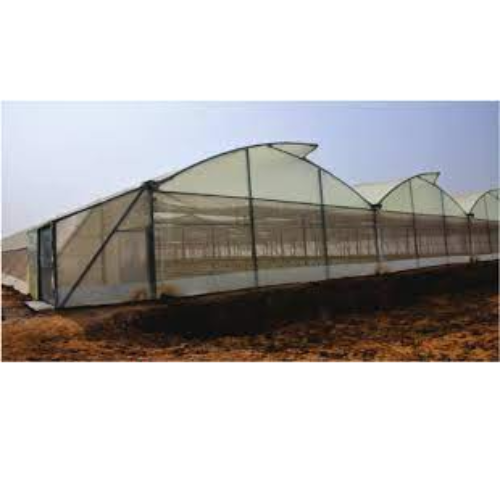 Greenhouse Company in Eldoret