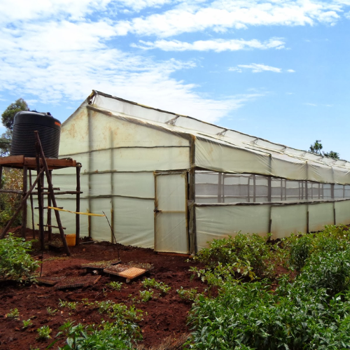Greenhouse