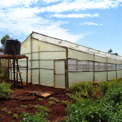 Greenhouse 