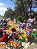 Farmers Harvesting day
