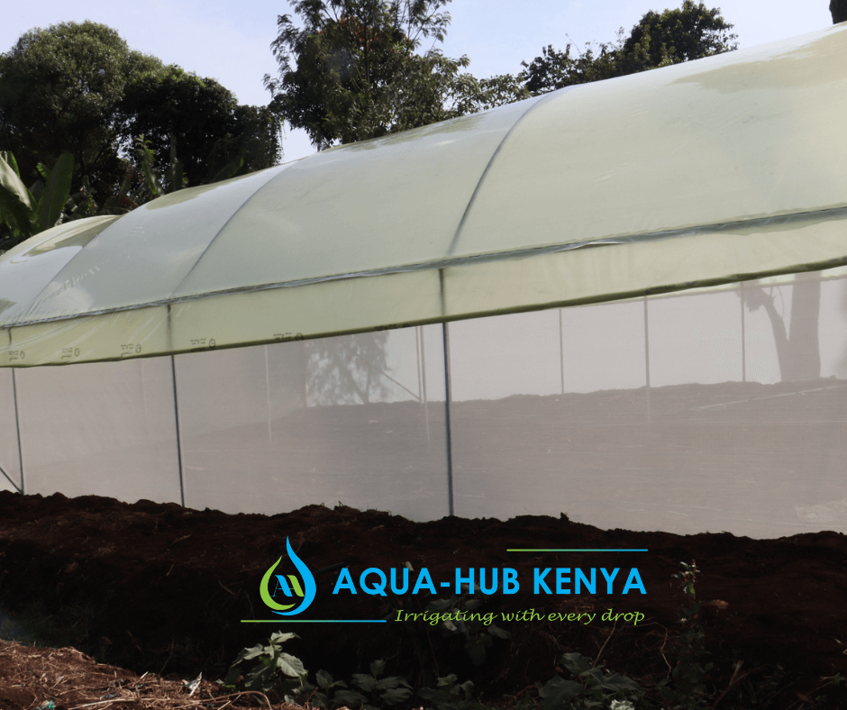 Metallic Greenhouse By Aqua Hub Kenya