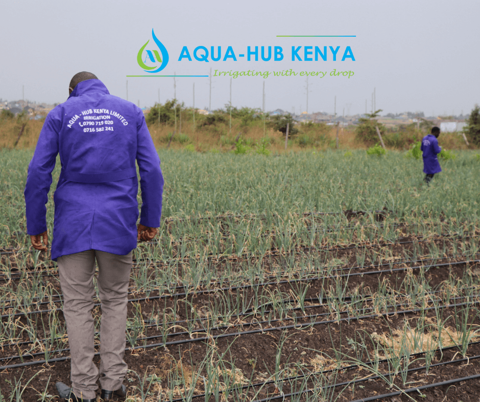 Onions Drip Kit by Aqua Hub Kenya